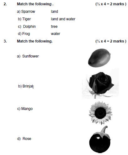 CBSE Class 1 EVS Sample Paper Set B